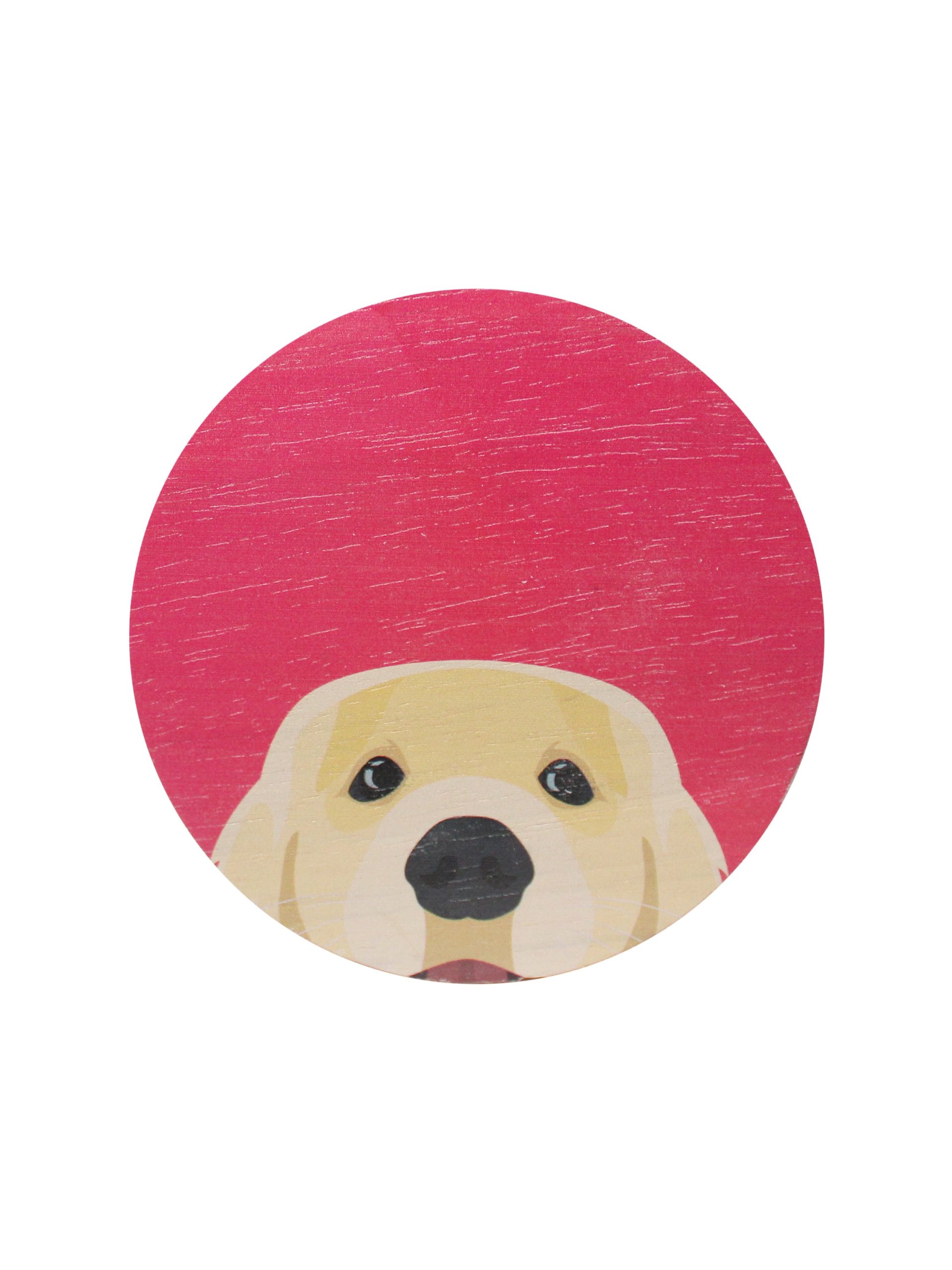 Sand Fog Sand + Paws Sun-n-Fun 12 oz scented candle - Image 4