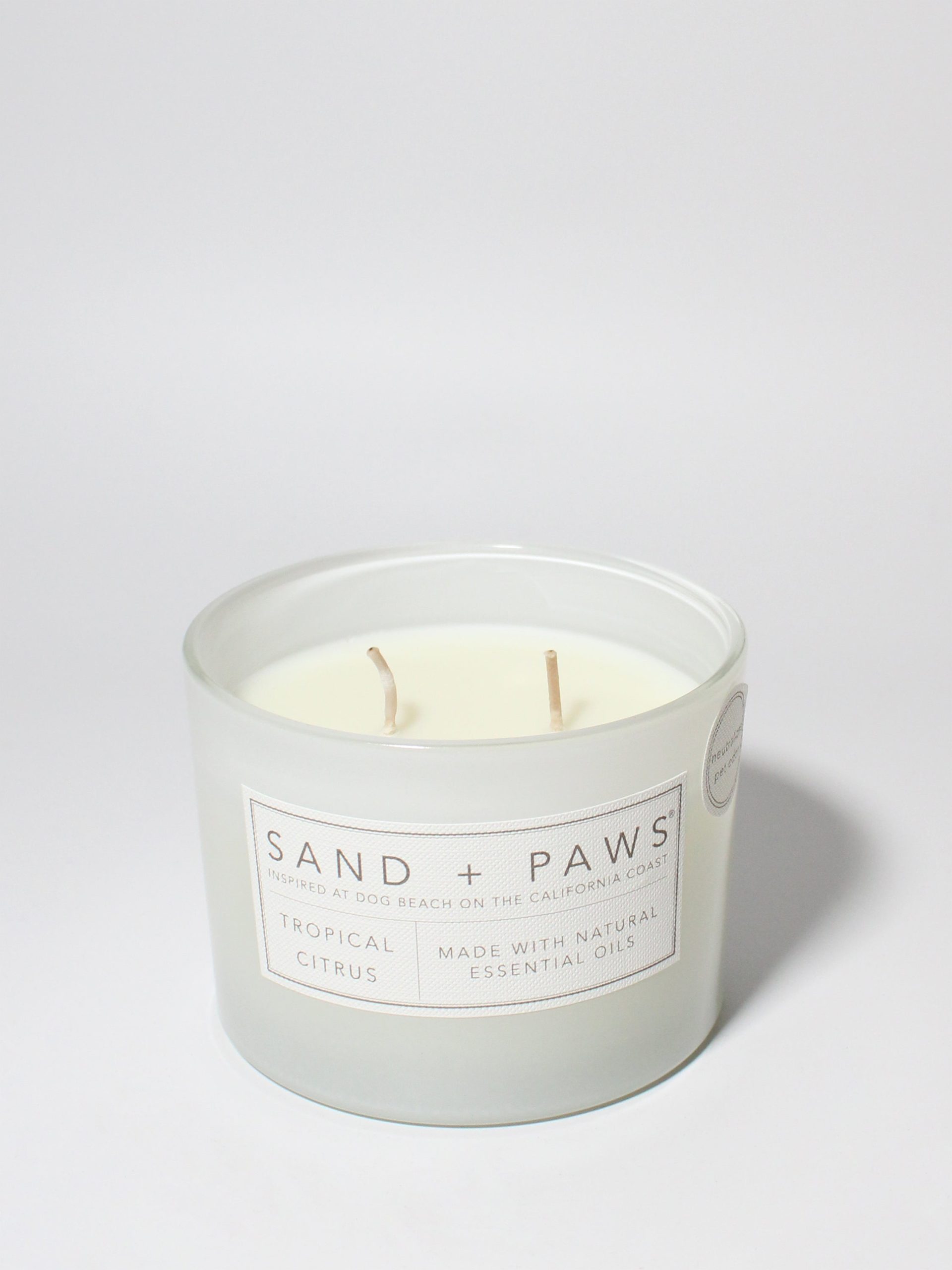 Sand Fog Sand + Paws Tropical Citrus 12 oz scented candle - Image 3