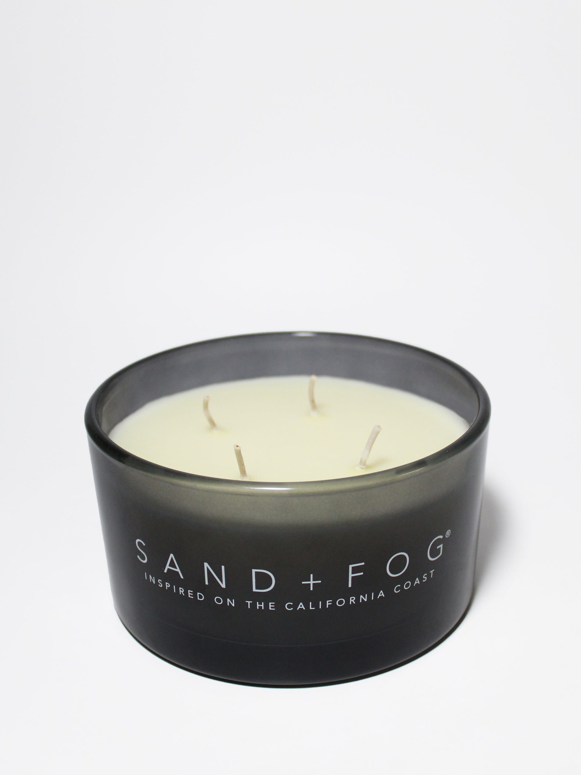 Sand Fog Fern & Moss 23 oz scented candle - Image 3