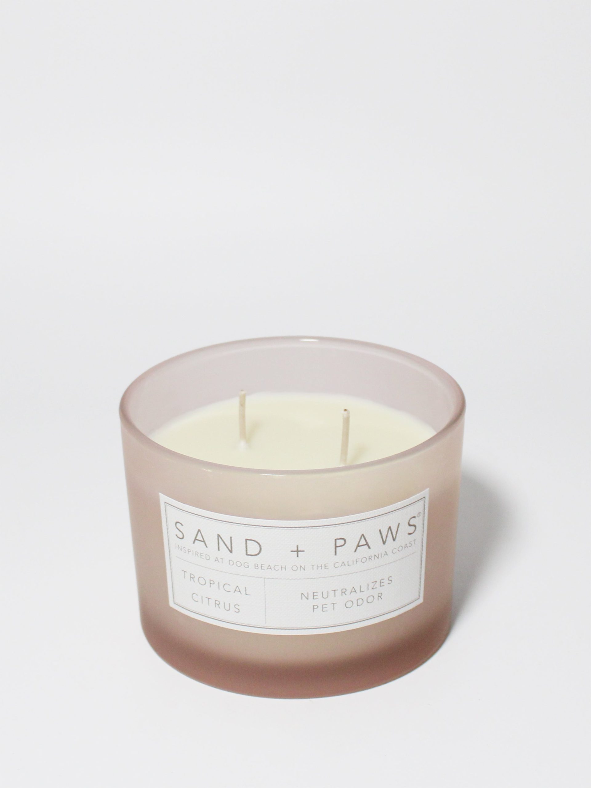 Sand Fog Sand + Paws Tropical Citrus 12 oz scented candle - Image 3