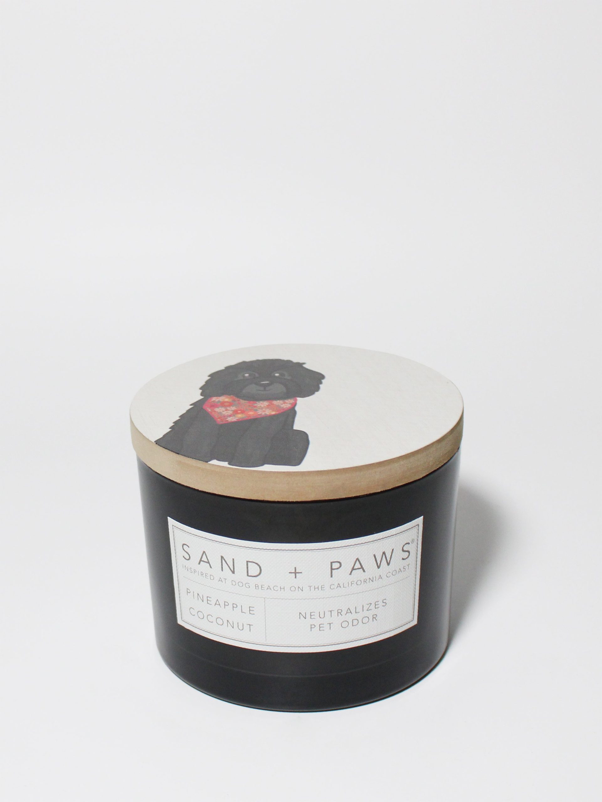 Sand Fog Sand + Paws Pineapple Coconut 12 oz scented candle