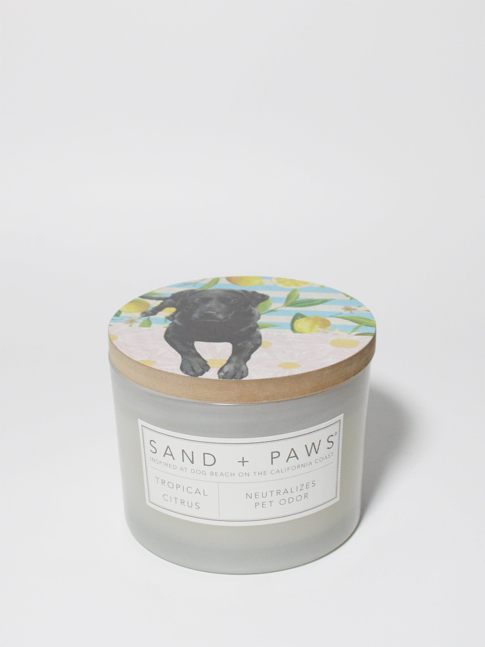 Sand Fog Sand + Paws Tropical Citrus 12 oz scented candle