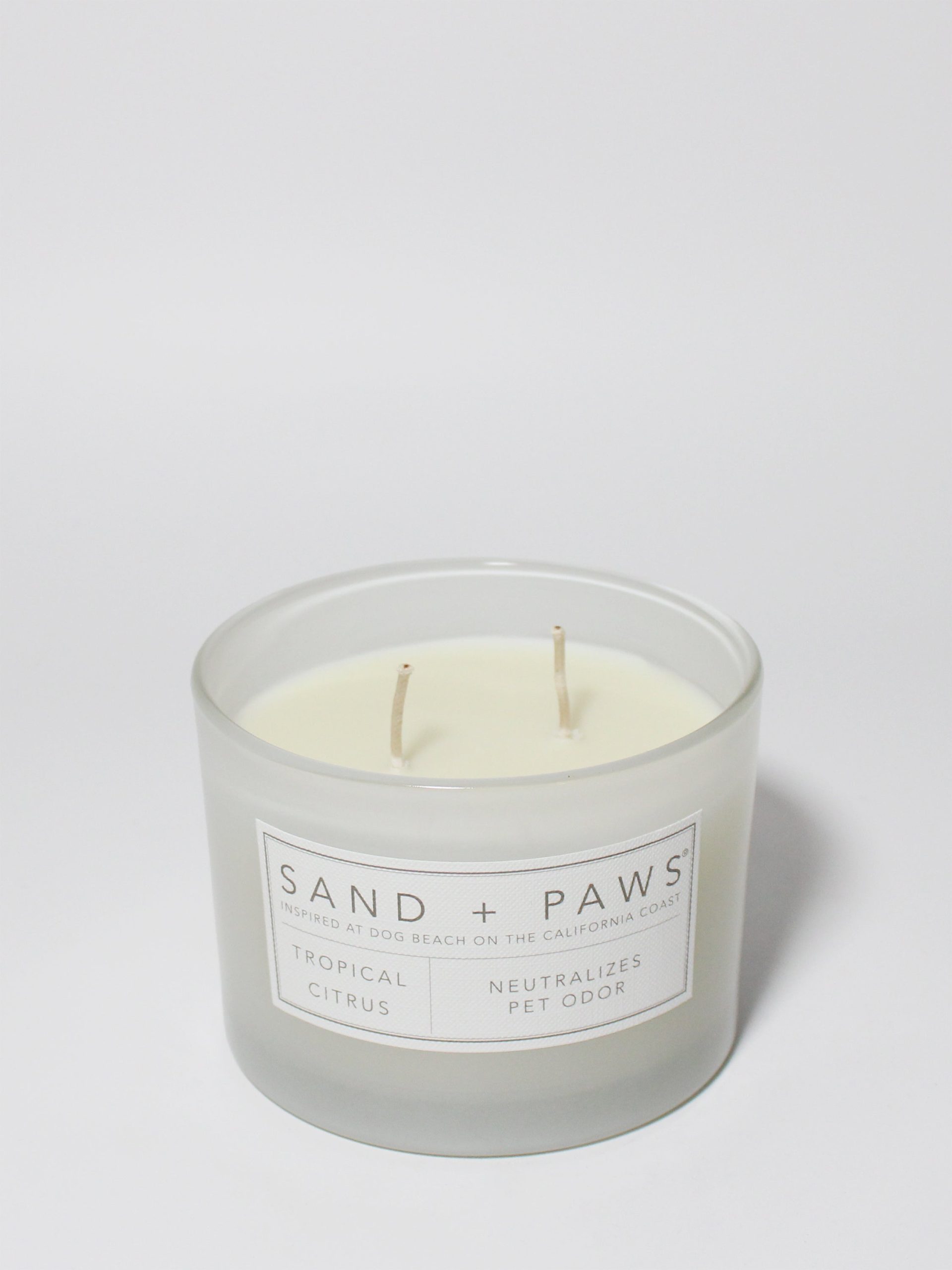 Sand Fog Sand + Paws Tropical Citrus 12 oz scented candle - Image 3