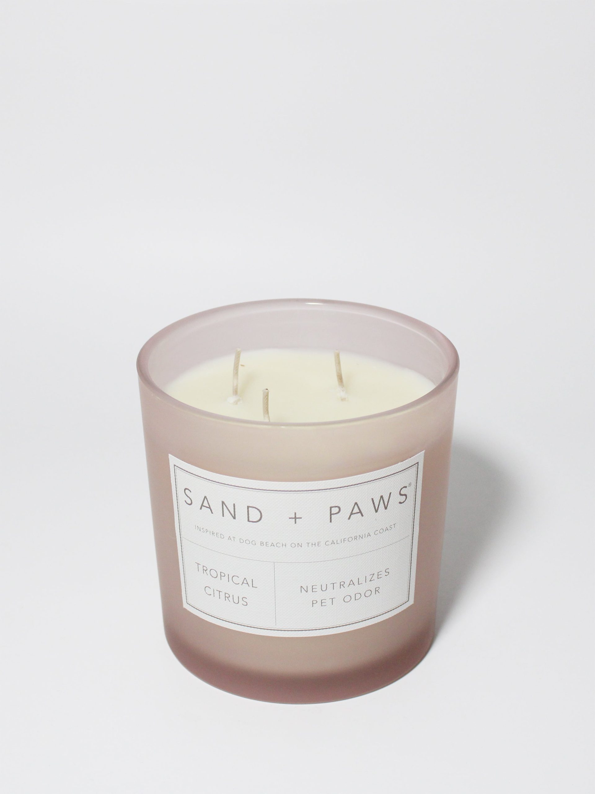Sand Fog Sand + Paws Tropical Citrus 21 oz scented candle - Image 3