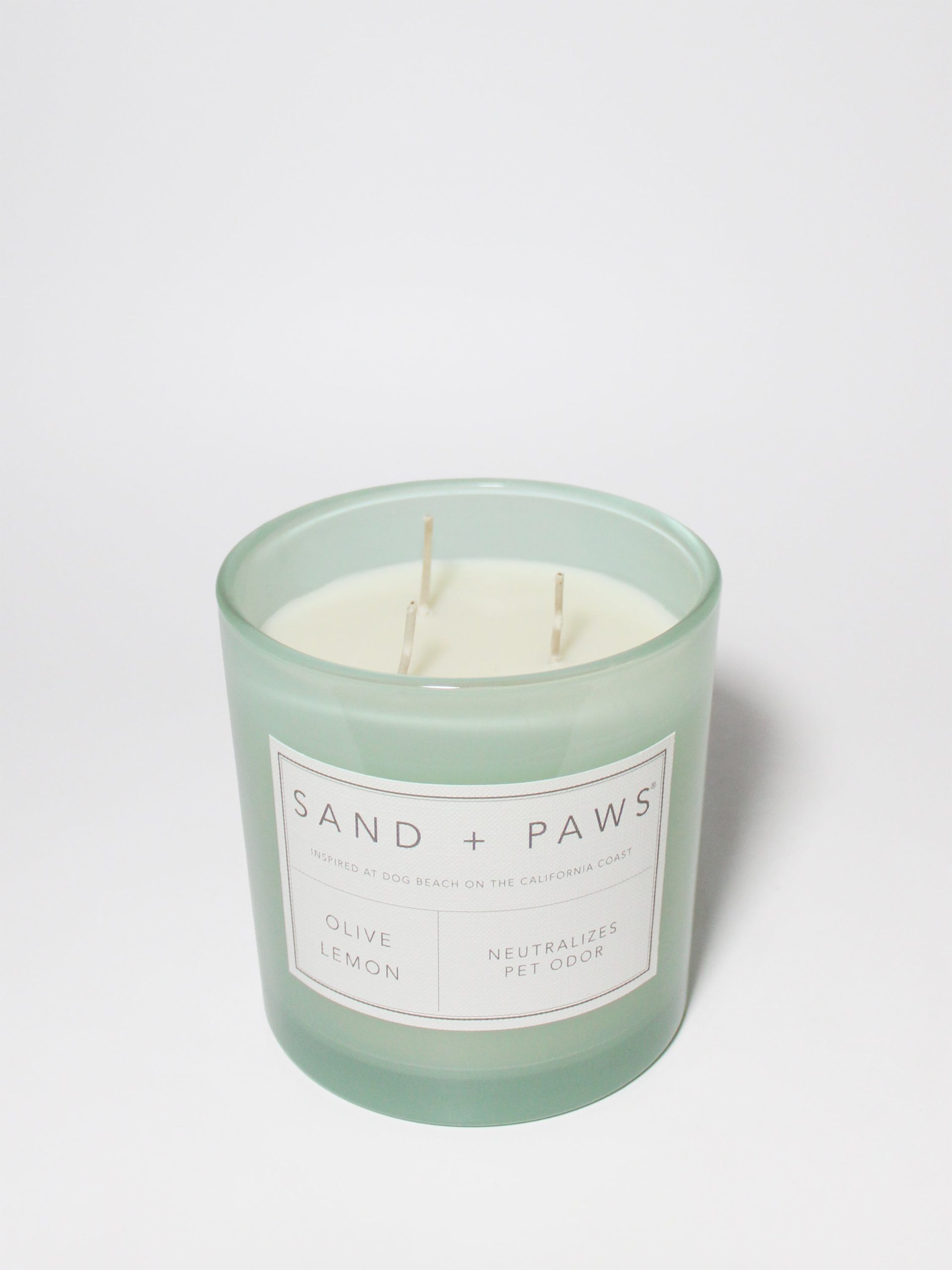Sand Fog Sand + Paws Olive Lemon 21 oz scented candle - Image 3