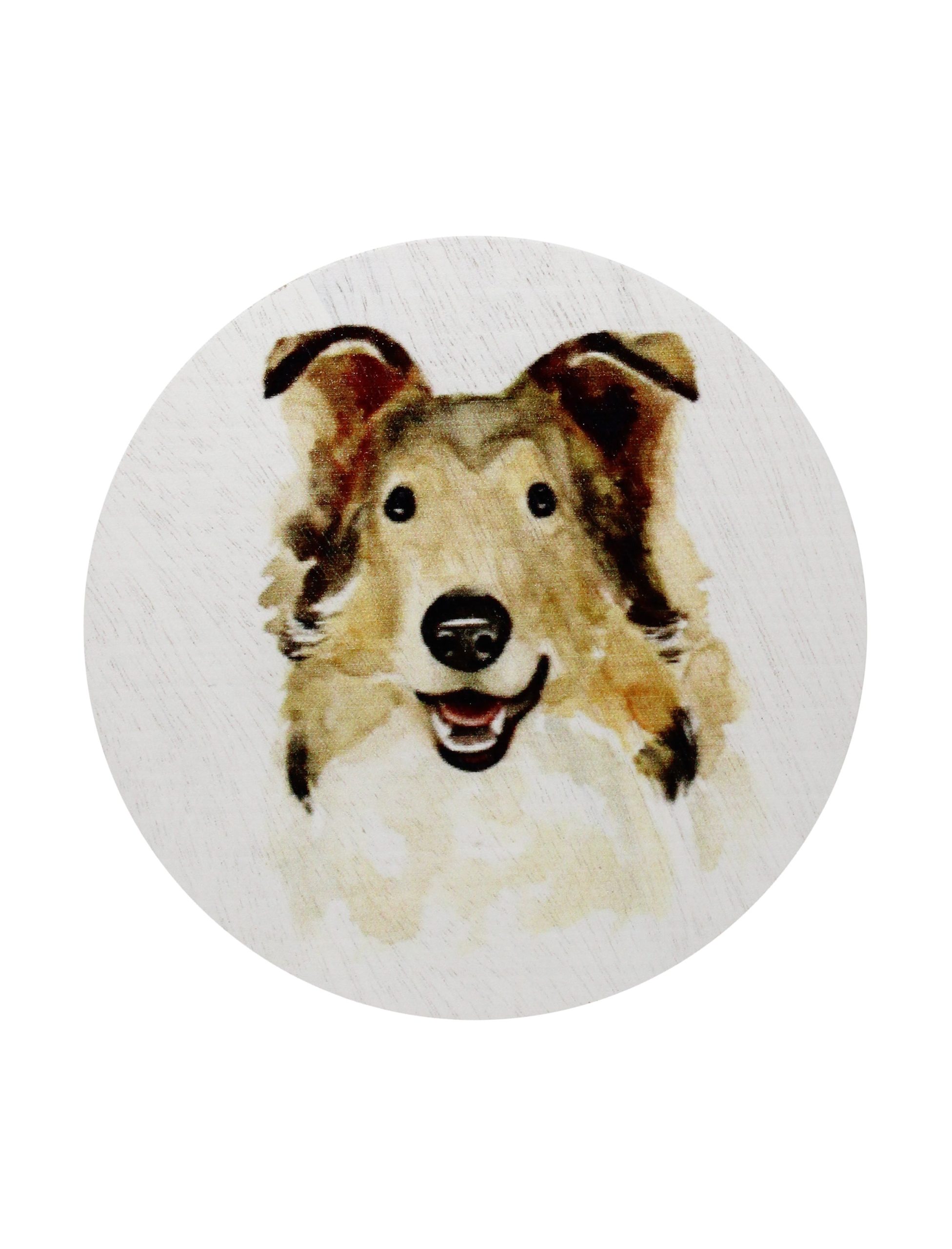 Sand Fog Sand + Paws Desert Rain 12 oz scented candle - Image 4