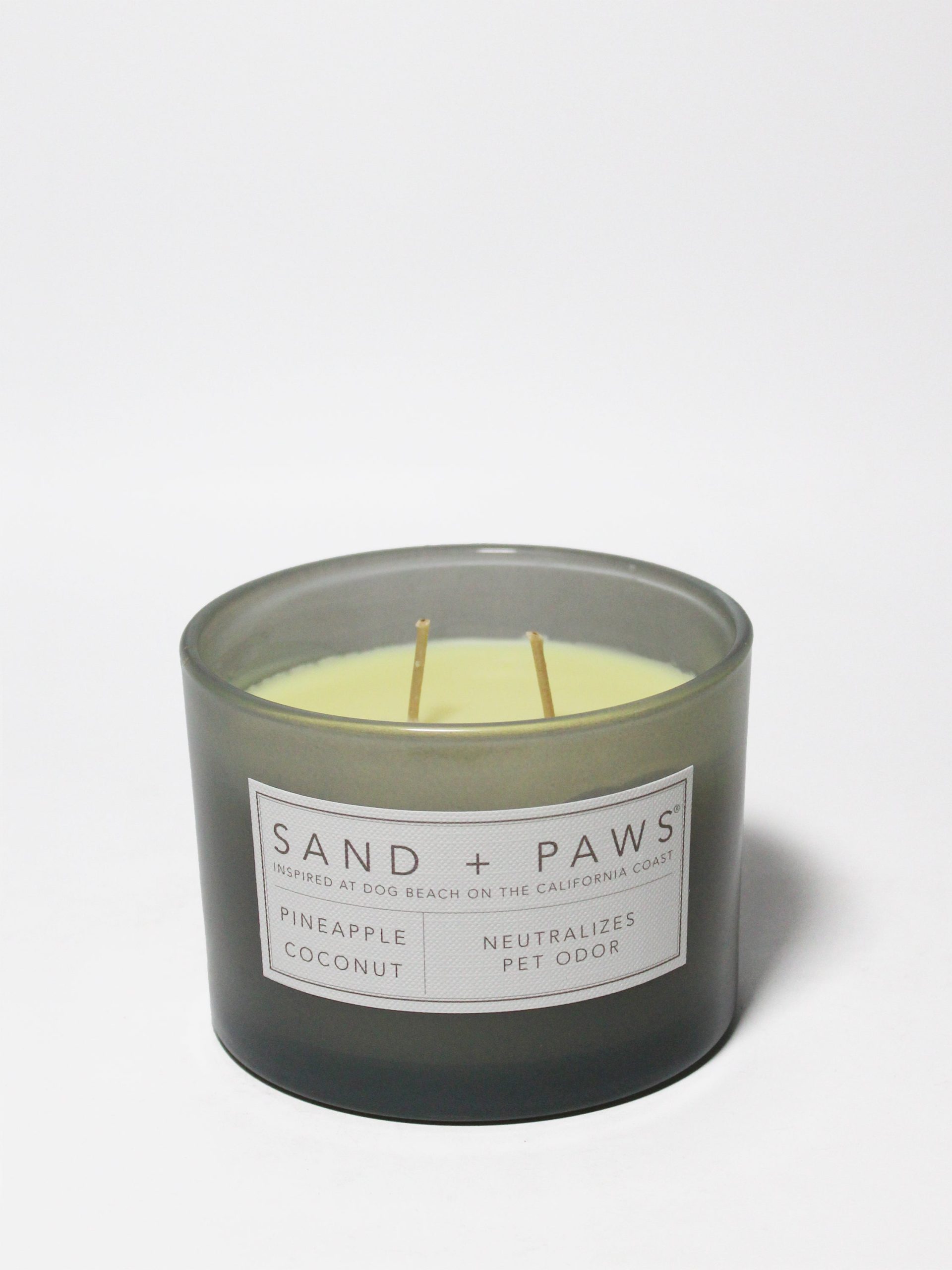 Sand Fog Sand + Paws Pineapple Coconut 12 oz scented candle - Image 3