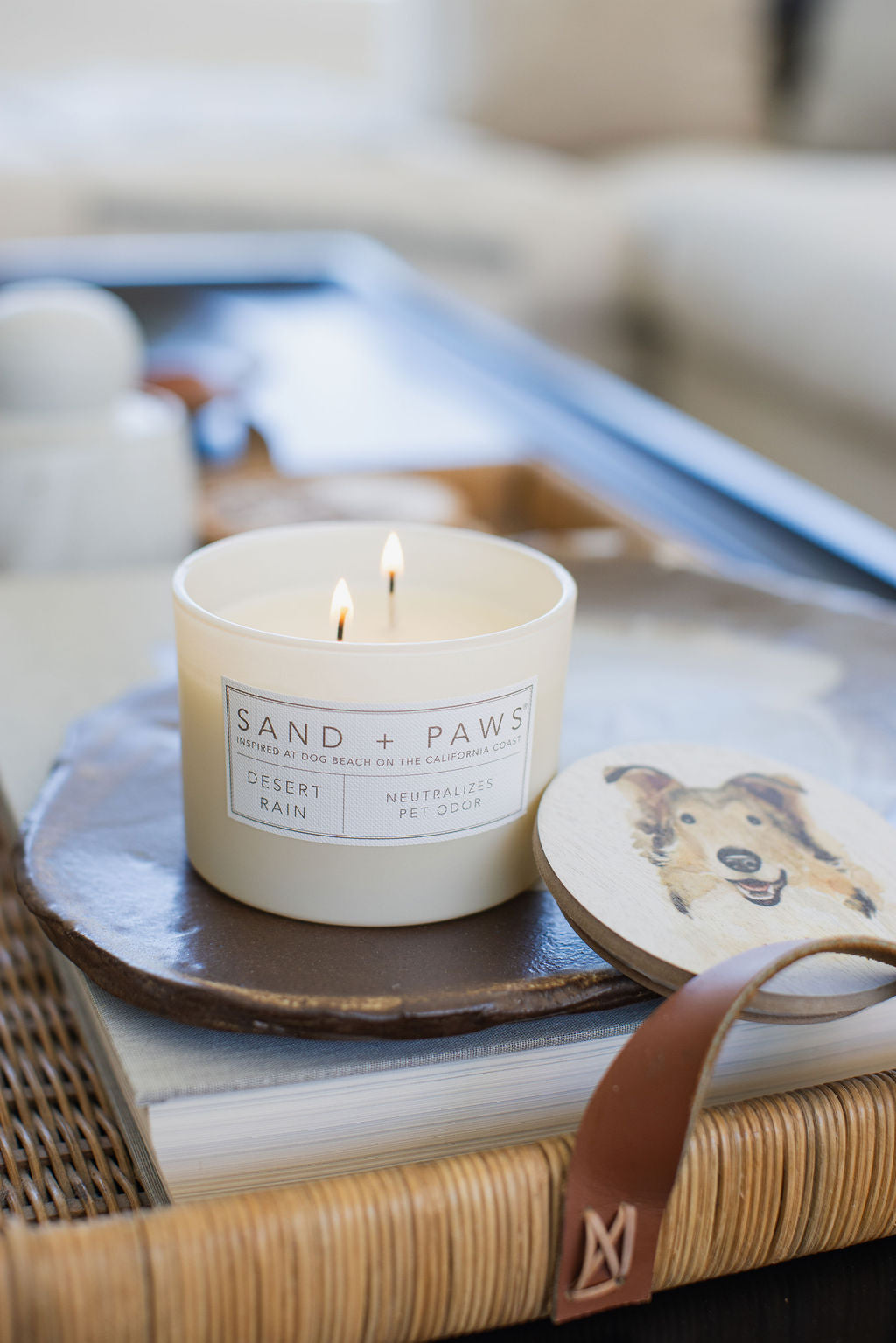 Sand Fog Sand + Paws Desert Rain 12 oz scented candle - Image 2