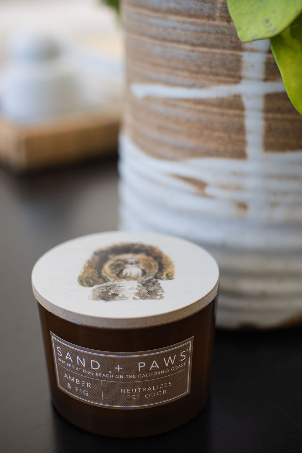 Sand Fog Sand + Paws Amber & Fig 12 oz scented candle - Image 5