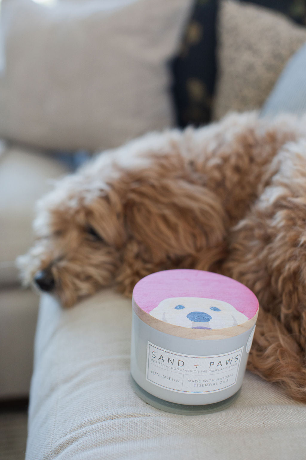Sand Fog Sand + Paws Sun-n-Fun 12 oz scented candle - Image 5