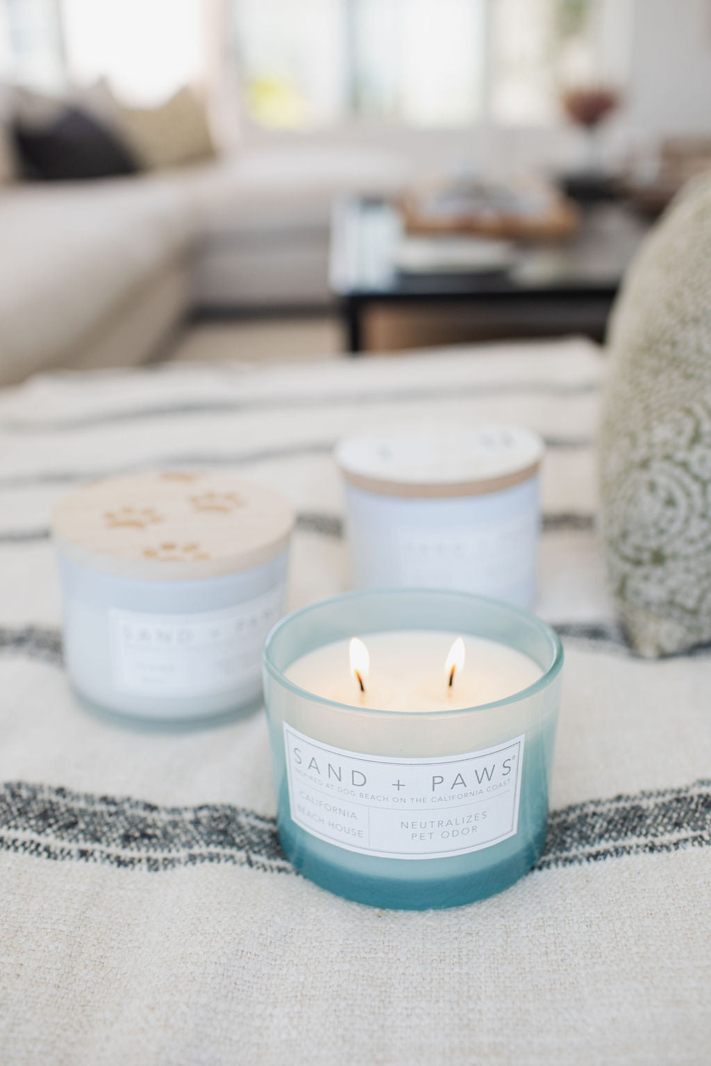 Sand Fog Sand + Paws California Beach House 12 oz scented candle - Image 5