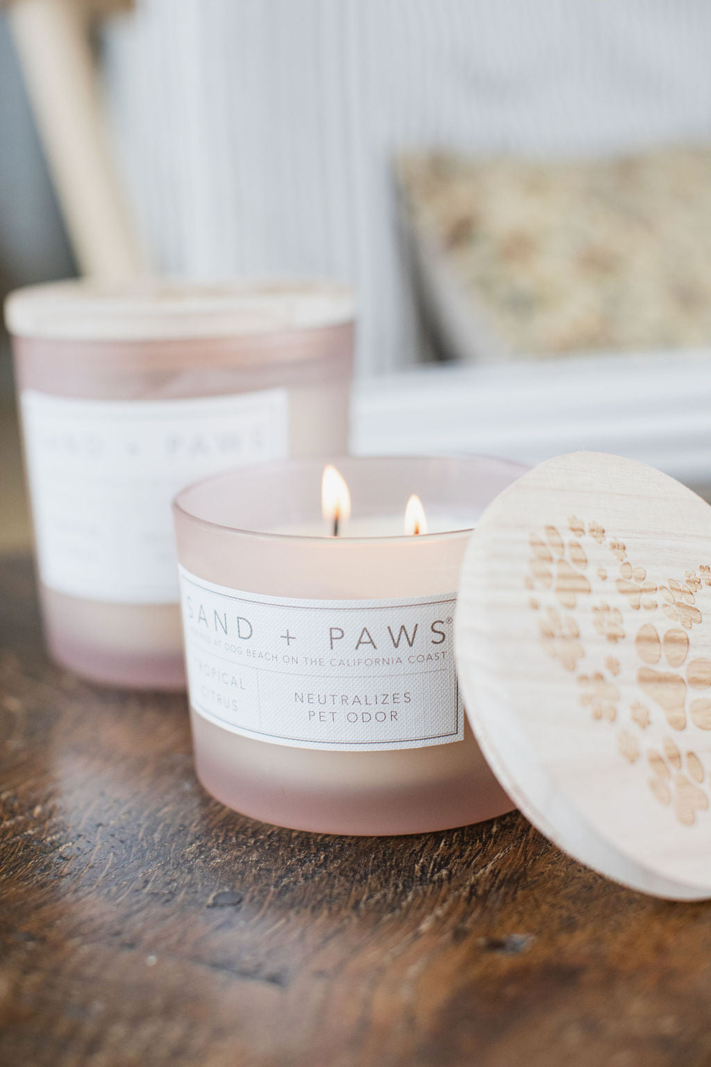 Sand Fog Sand + Paws Tropical Citrus 12 oz scented candle - Image 2