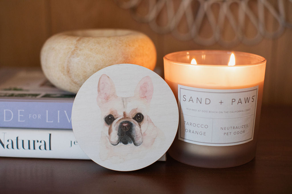 Sand Fog Sand + Paws Tarocco Orange 21 oz scented candle - Image 5