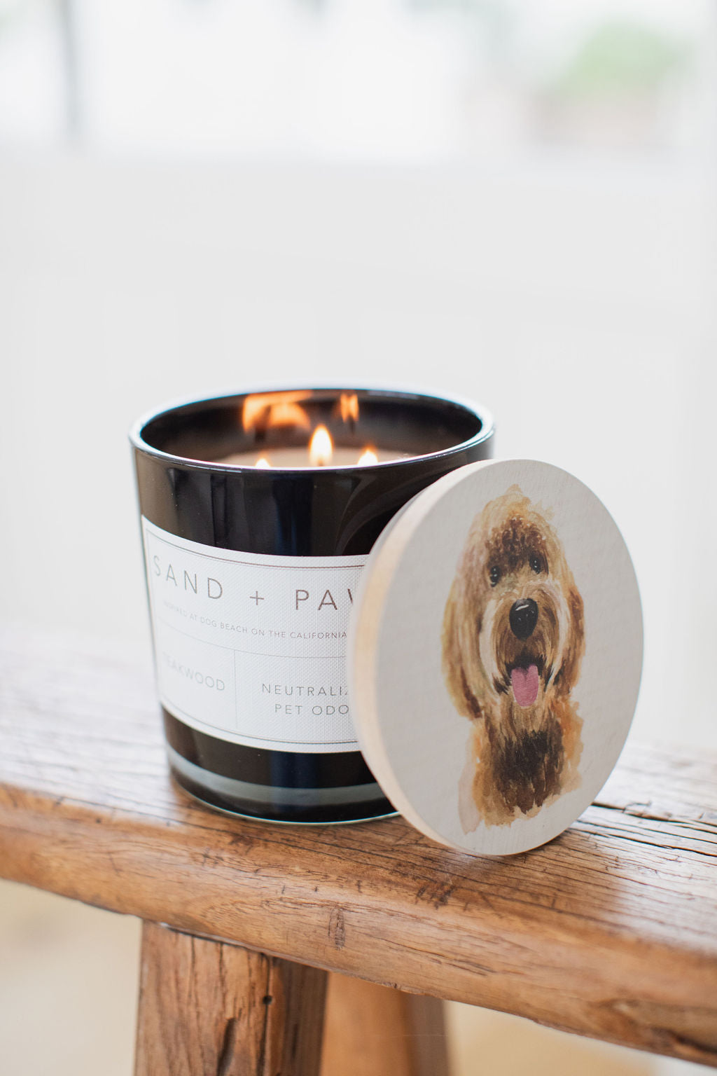 Sand Fog Sand + Paws Teakwood 21 oz scented candle - Image 5
