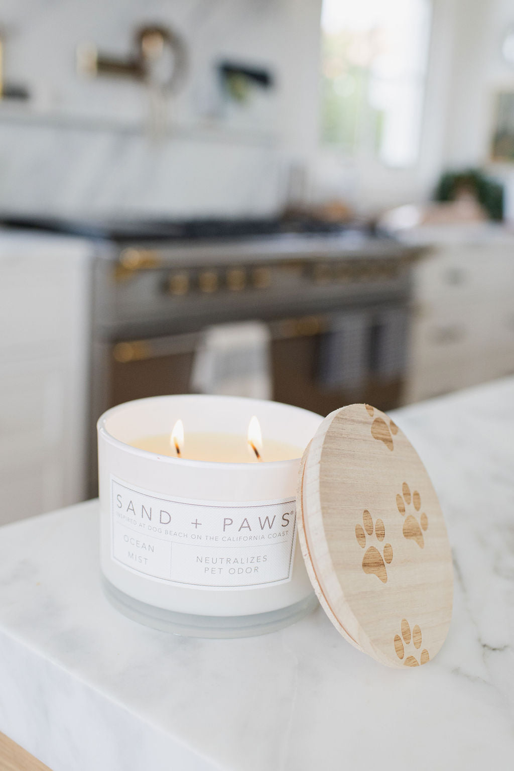 Sand Fog Sand + Paws Ocean Mist 12 oz scented candle - Image 5