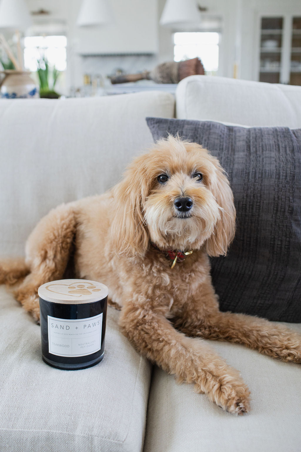 Sand Fog Sand + Paws Teakwood 21 oz scented candle - Image 5
