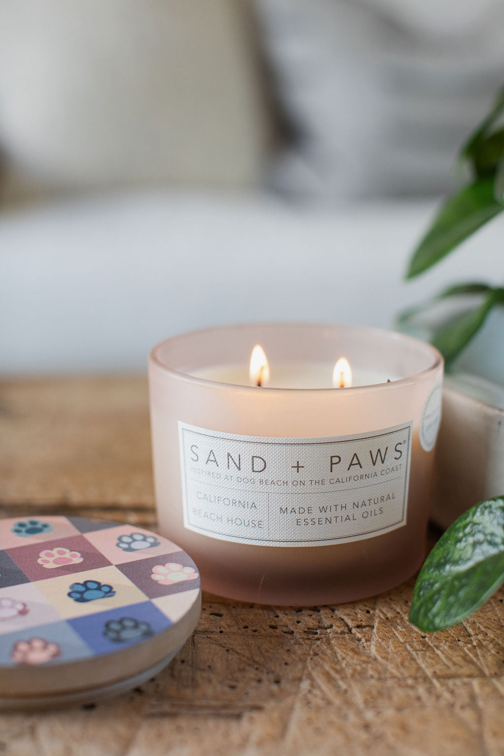Sand Fog Sand + Paws California Beach House 12 oz scented candle - Image 5