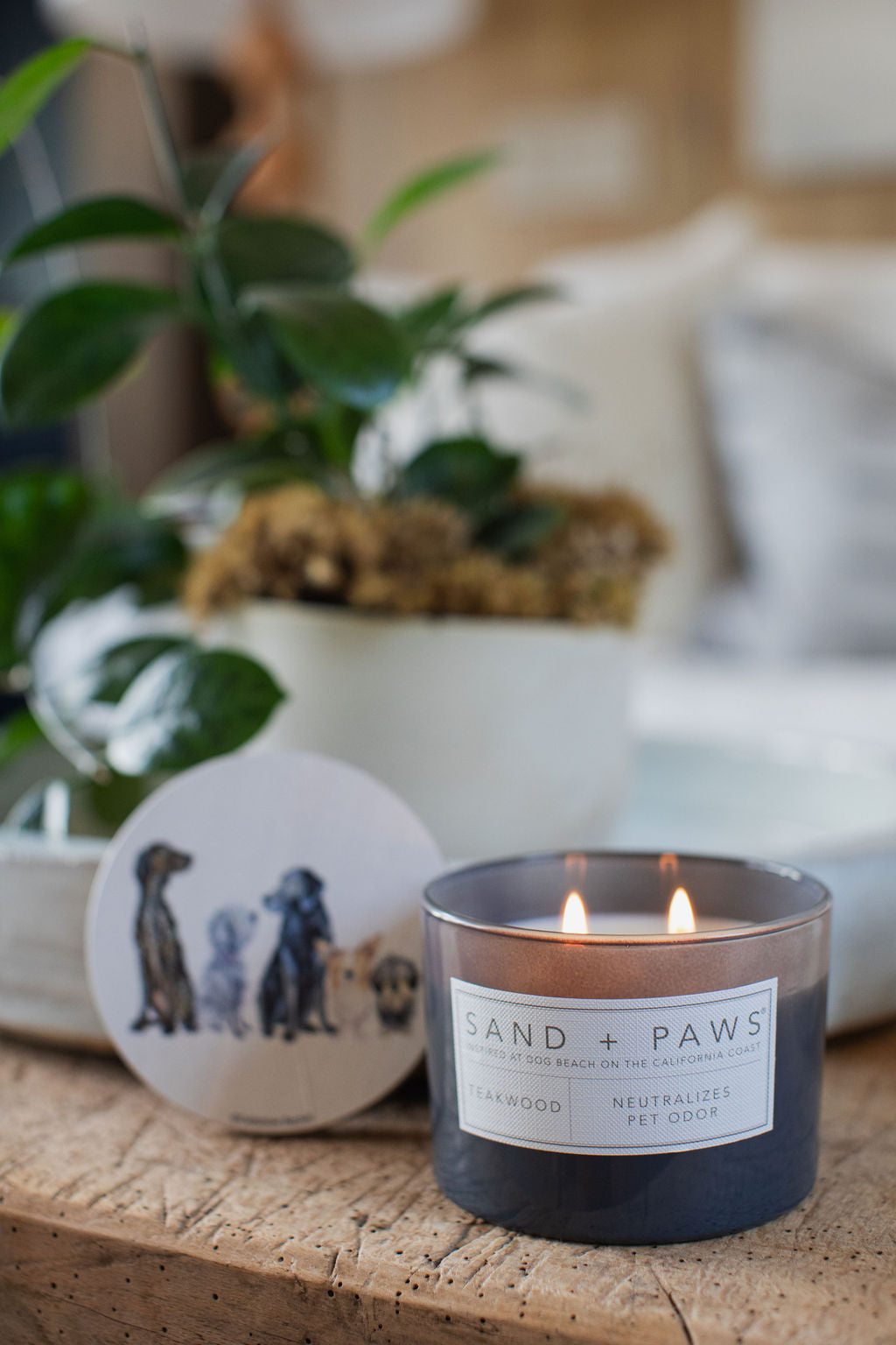 Sand Fog Sand + Paws Teakwood 12 oz scented candle - Image 5