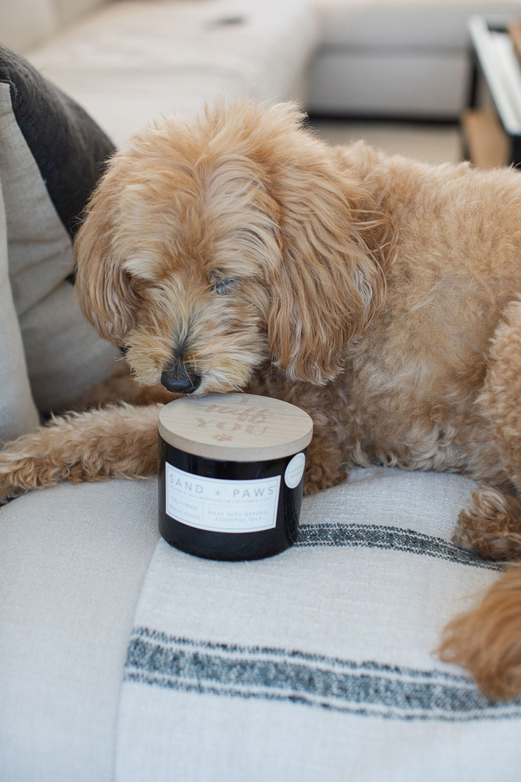 Sand Fog Sand + Paws California Beach House 12 oz scented candle - Image 5