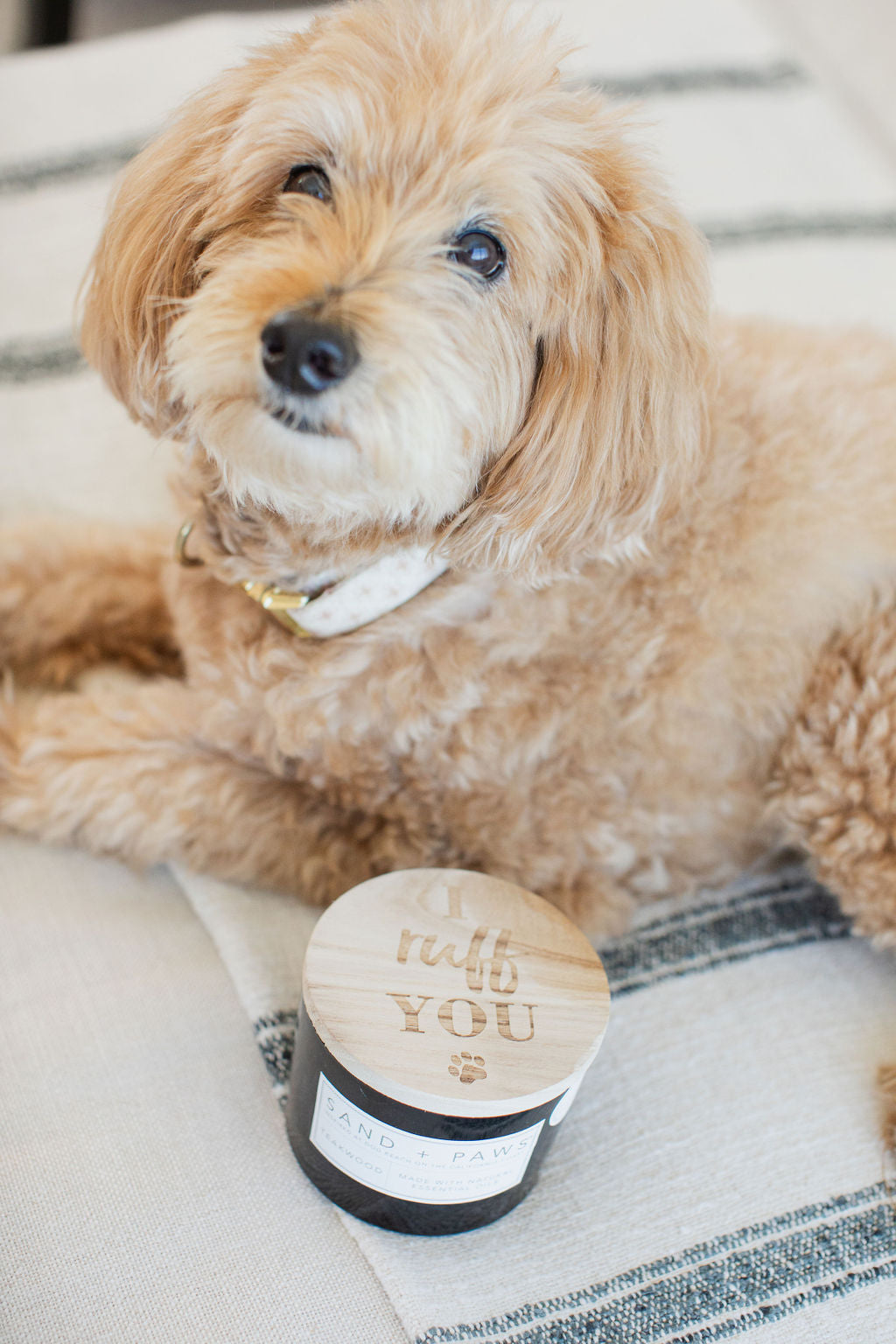 Sand Fog Sand + Paws Teakwood 12 oz scented candle - Image 5
