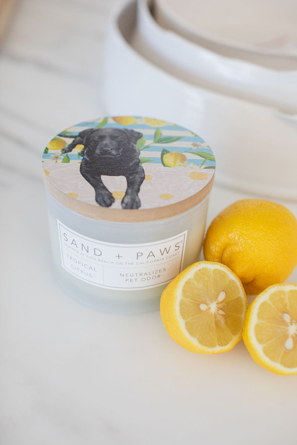 Sand Fog Sand + Paws Tropical Citrus 12 oz scented candle - Image 5