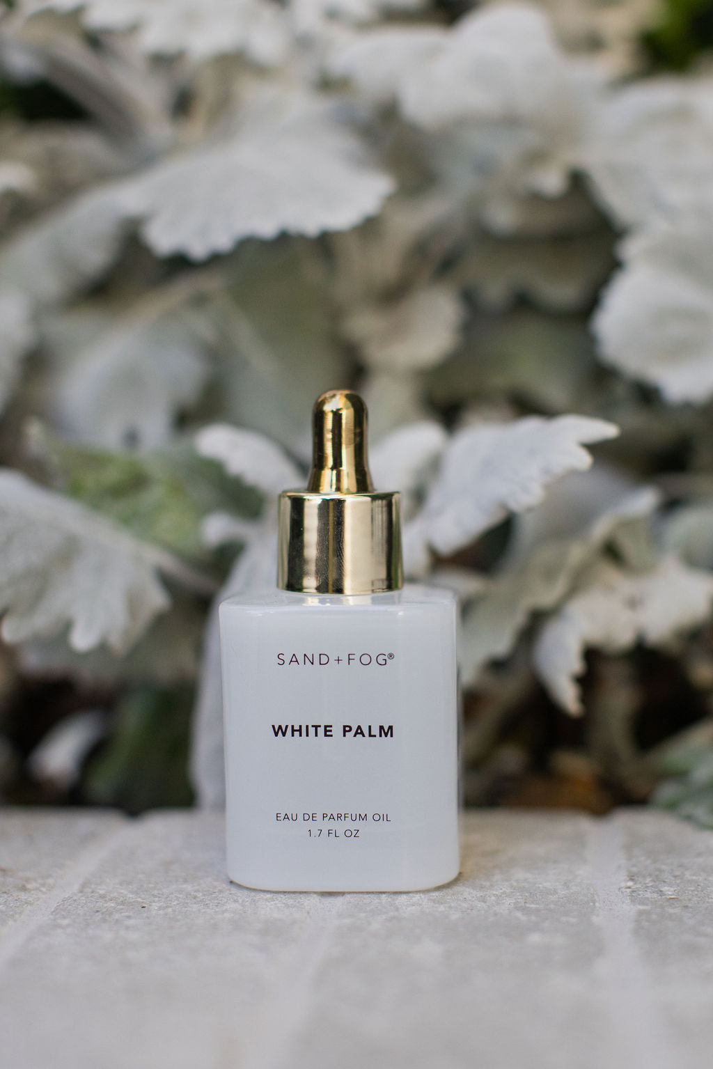 Sand Fog White Palm 50 ml Perfume Oil Dropper - Image 4