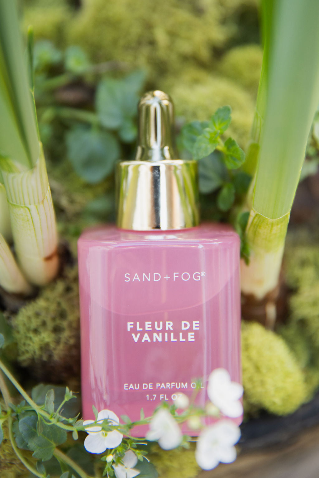 Sand Fog Fleur de Vanille 50 ml Perfume Oil Dropper - Image 4