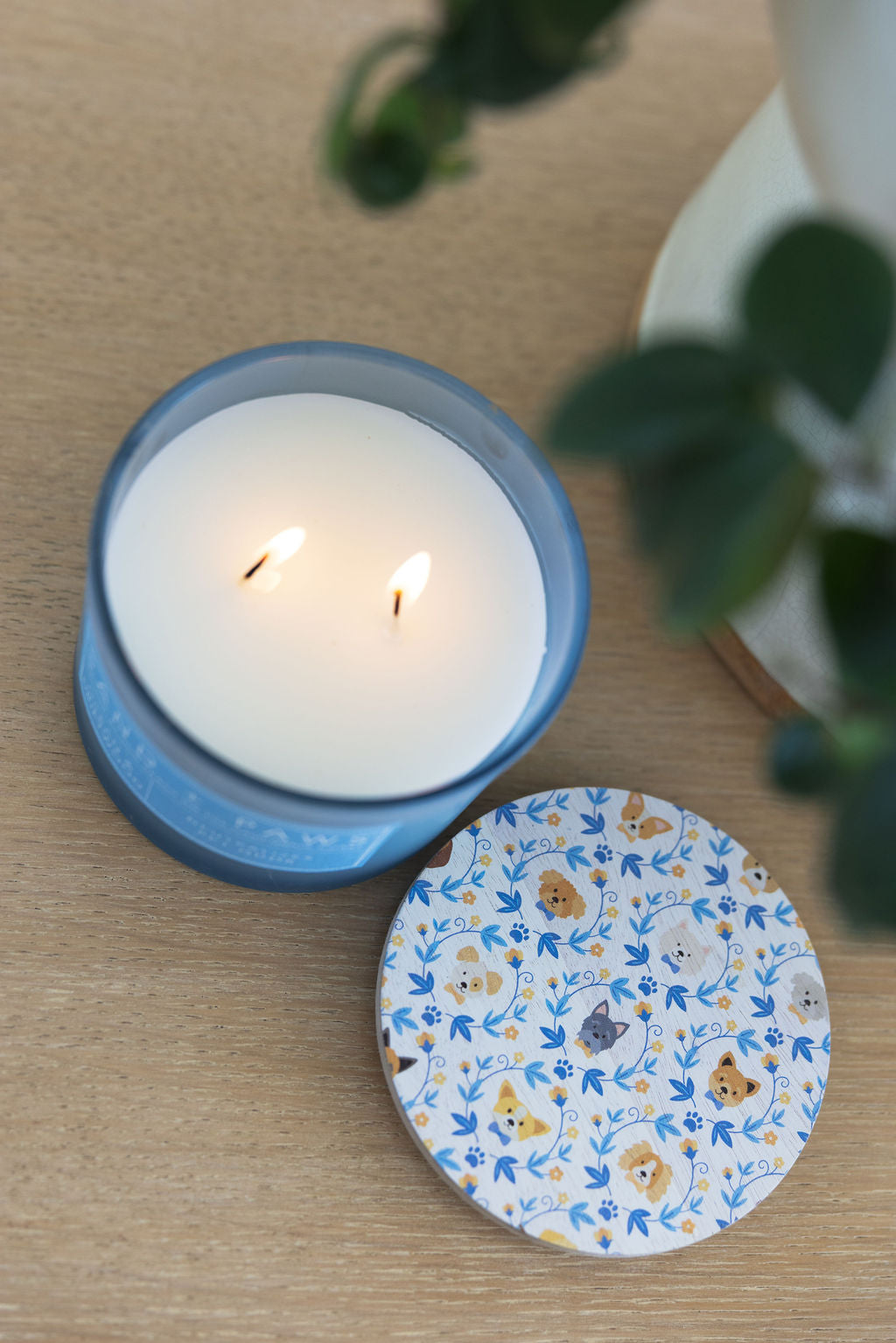 Sand Fog Sand + Paws Ocean & Driftwood 12 oz scented candle - Image 5