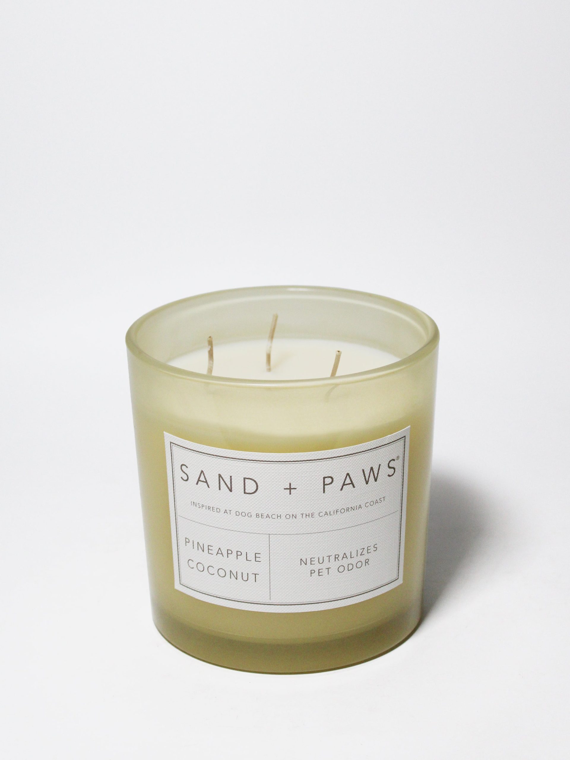 Sand Fog Sand + Paws Pineapple Coconut 21 oz scented candle - Image 3