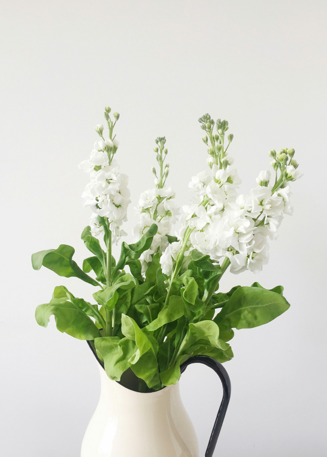 Sand Fog White Flowers 10 oz scented candle - Image 2