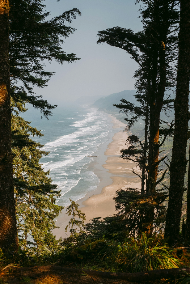 Sand Fog Pacific Coast 21 oz scented candle - Image 2