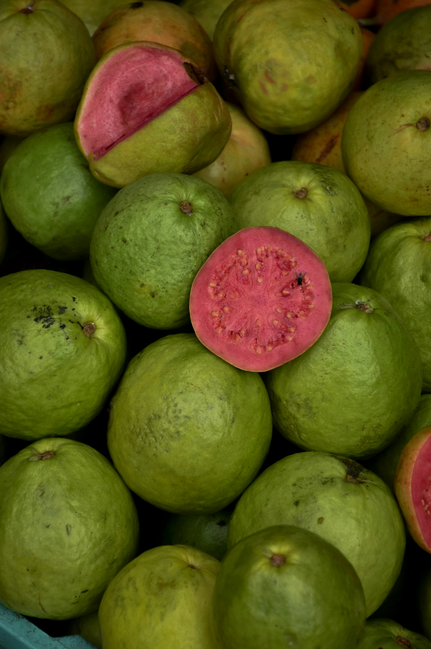 Sand Fog Paradise Guava 12 oz scented candle - Image 2