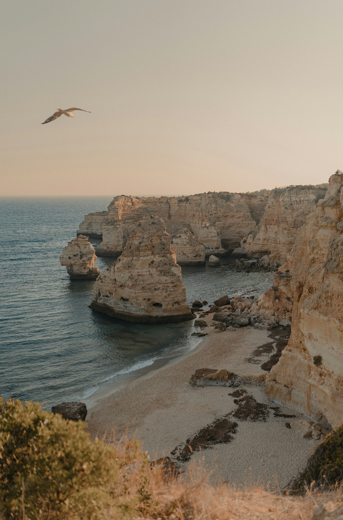 Sand Fog Amber Cove 100 ml Eau de Toilette - Image 2