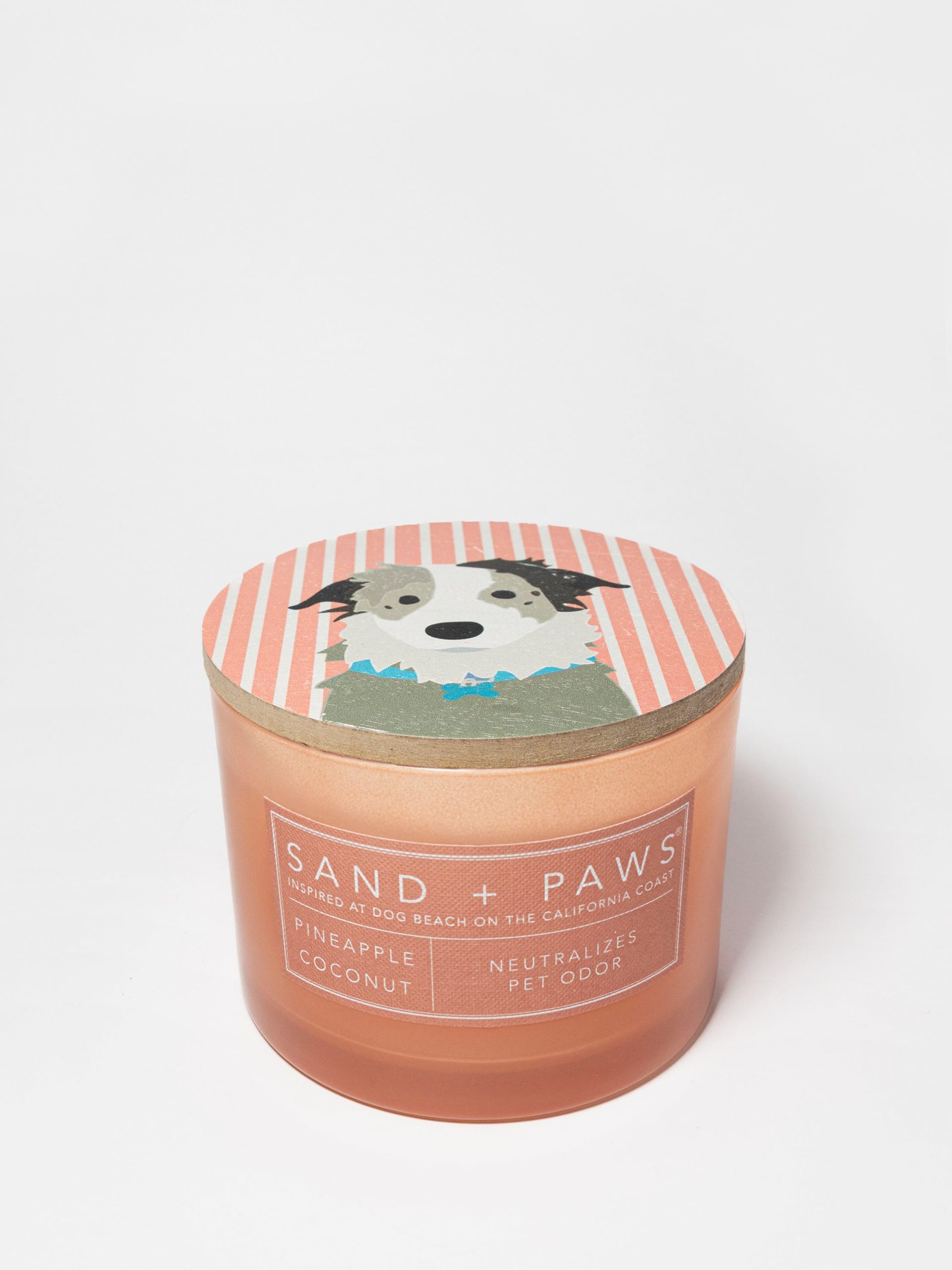 Sand Fog Sand + Paws Pineapple Coconut 12 oz scented candle