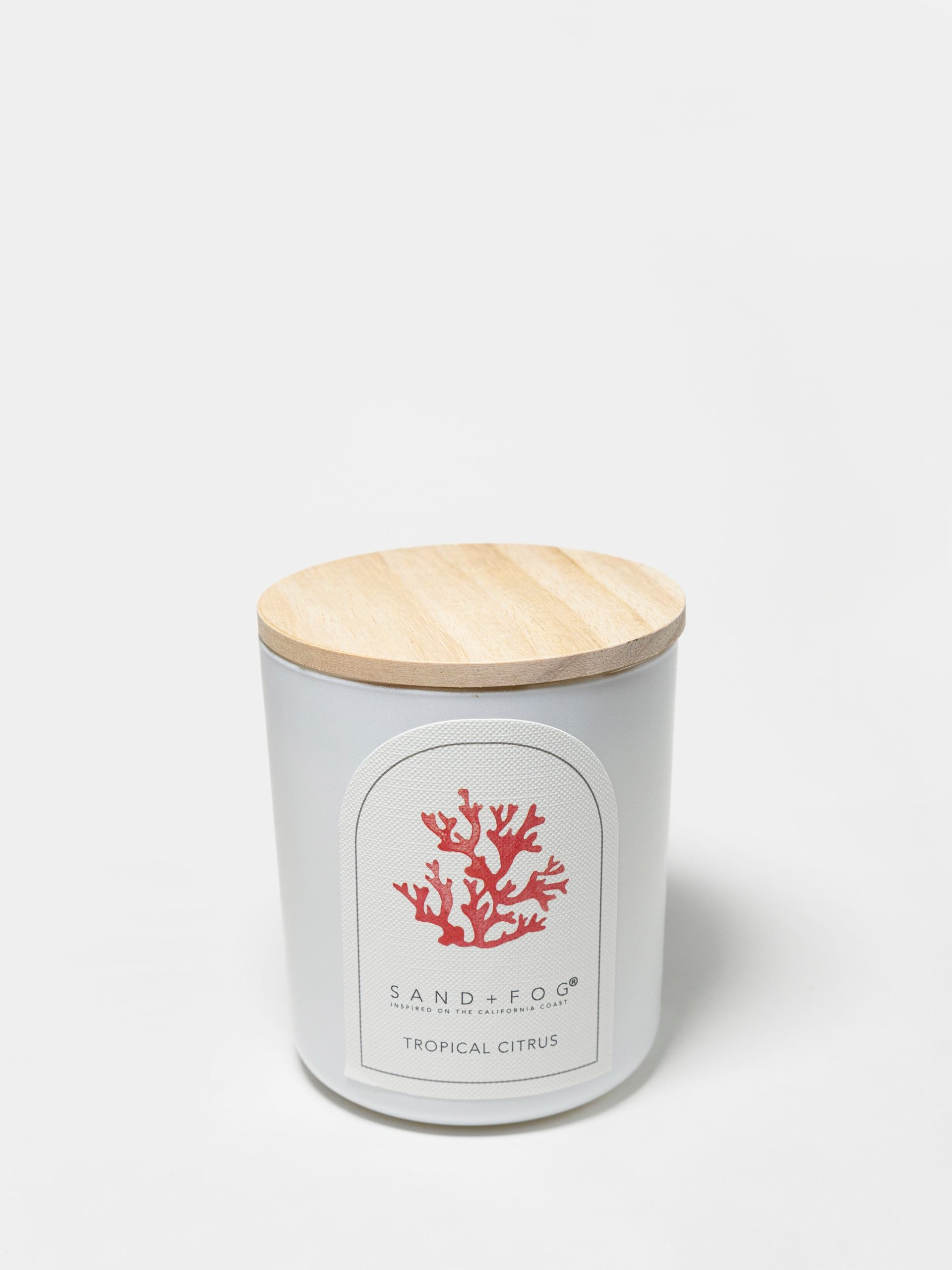 Sand Fog Tropical Citrus 10 oz scented candle