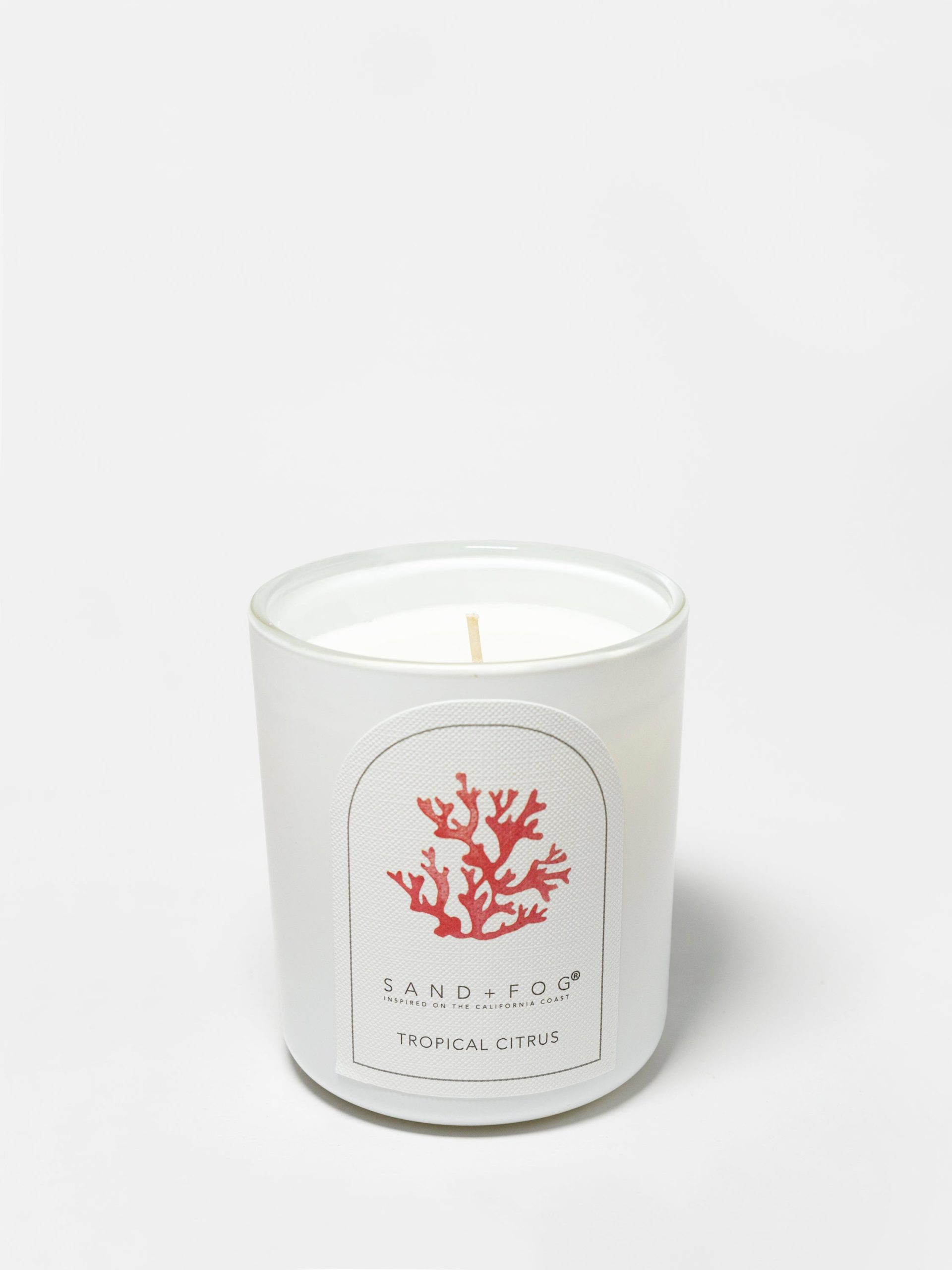 Sand Fog Tropical Citrus 10 oz scented candle - Image 3
