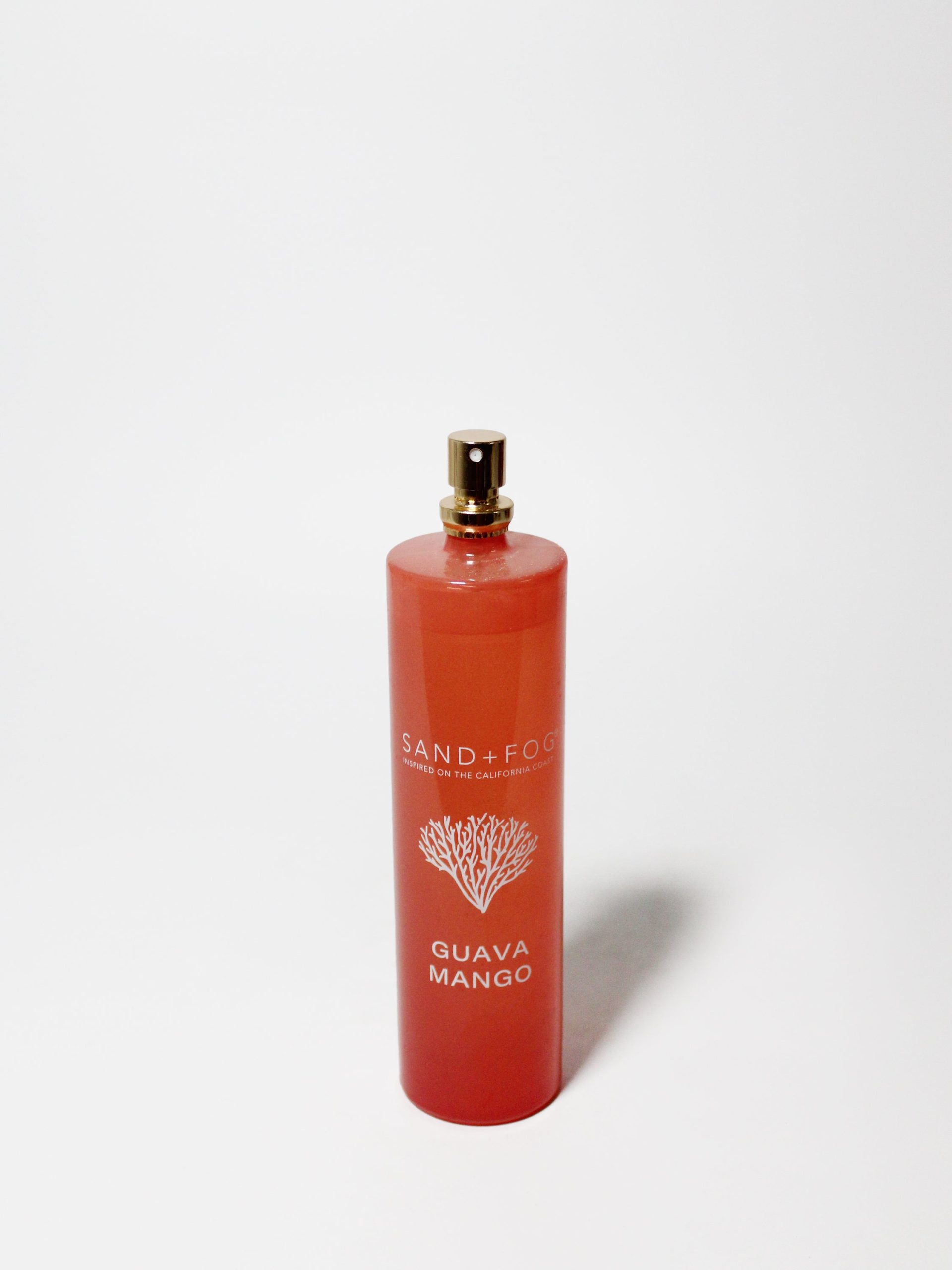 Sand Fog Guava Mango 100 ml Room Spray - Image 3