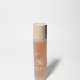Sand Fog Pineapple Coconut 100 ml Room Spray