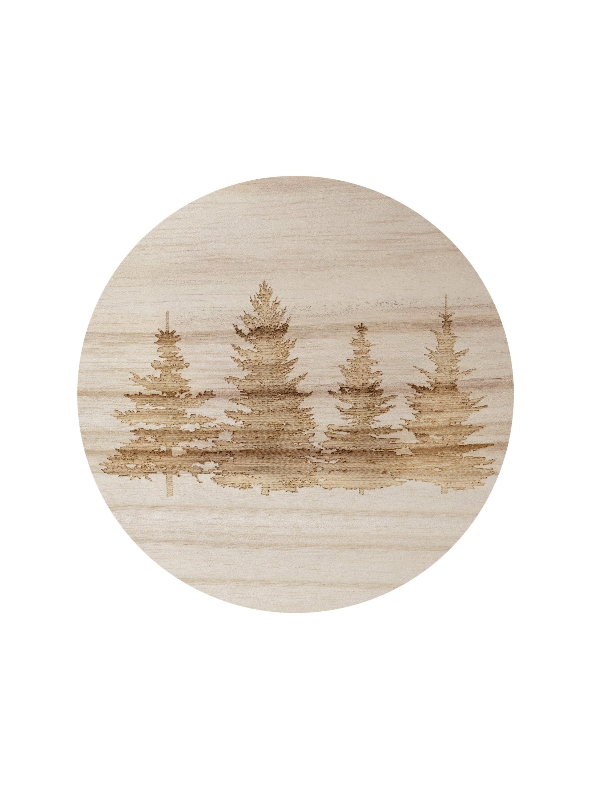 Sand Fog Winter Pine 12 oz scented candle - Image 4