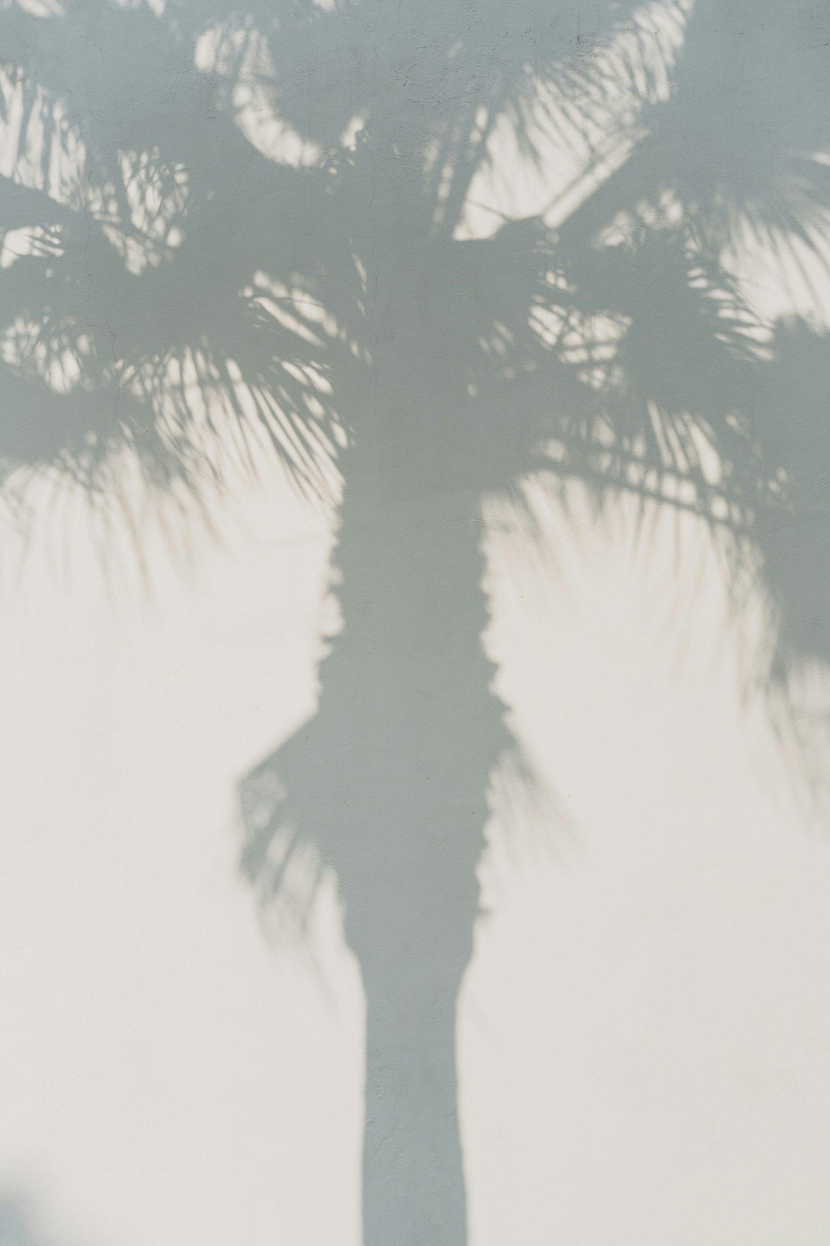 Sand Fog White Palm 50 ml Perfume Oil Dropper - Image 2