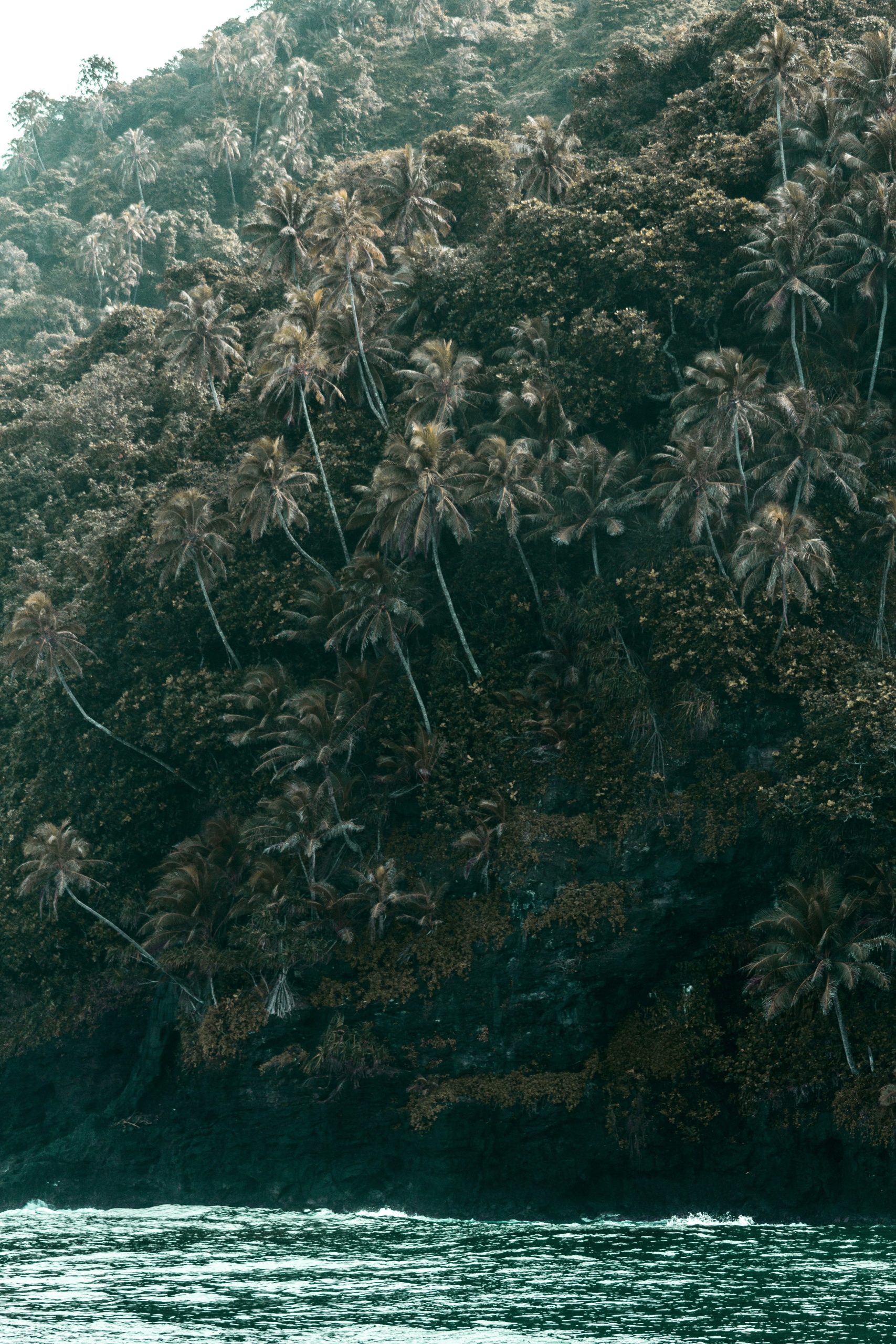 Sand Fog Midnight Tides 110 ml Reed Diffuser - Image 2